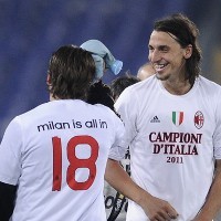 Cassano: Ibrahimovic Binatang Liar