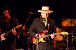 Timbre Rock and Roots Festival