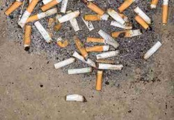 Buang Puntung Rokok ke Laut Bikin Ikan Semaput