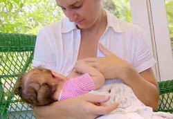 Bisakah Hamil Saat Sedang Menyusui?