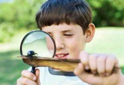 Bakat Calon Ilmuwan Harus Dikembangkan Sejak Anak-anak