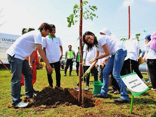 Menanam Trembesi Mencintai Bumi