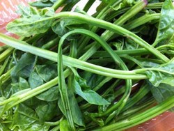 Krenyes Segar si Bayam Malabar