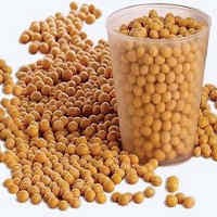 Kedelai Picu Kemandulan Pria