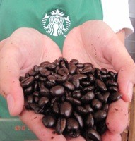 Kekhasan Cita Rasa Kopi Nusantara dalam Brand Internasional