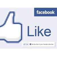 Waspadai Kelahiran One Click Activism