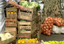 Makanan yang Terbuang di Dunia Cukup untuk Pangan di Afrika