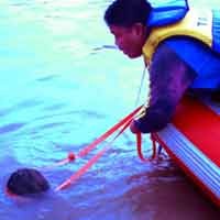 Jasad Sugianto, Pemuda Terjun di Sungai Rolak Ditemukan