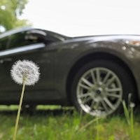 Ford Gunakan Bunga Dandelion Sebagai Bahan Interior