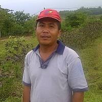  Petani: Crop Circle Cikarang Buat Iklan, Uang Sewa Rp 4 Juta