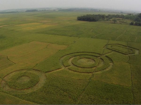 Crop Circle di Cikarang
