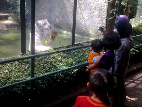 Pengunjung Bonbin Bandung Melonjak