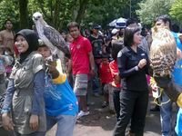 Ragunan Dipadati Pengunjung