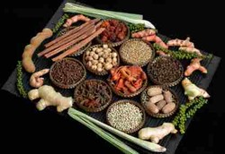 Banyak Obat Herbal Indonesia Dibuat dengan Tergesa-gesa