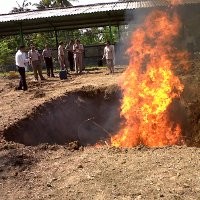 Diduga Berpenyakit, 9 Ton Kulit Impor di Semarang Dibakar