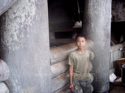 Regenerasi Hombo Batu
