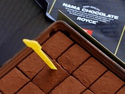 Hmm... Lembut Mengelus, Nama Chocolate!