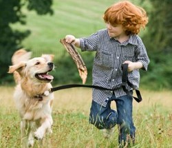 Tips Agar Si Kecil Aman Main dengan Hewan Peliharaan