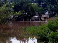 Puluhan Rumah di Pondok Labu Terendam Banjir