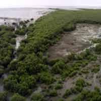 Pemkot Surabaya Digugat Aktivis Lingkungan