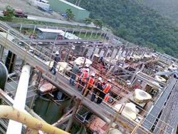 ICW Adukan Newmont ke KPK