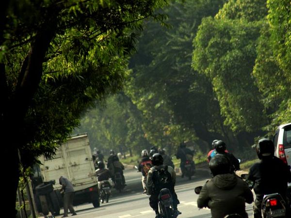 Menunggu Ditebang, Kota Kematian Segera Datang