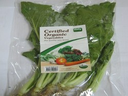 Caisim Organik Manis dan Renyah