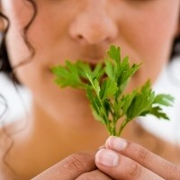 Konsumsi Makanan Penghilang Bau Mulut