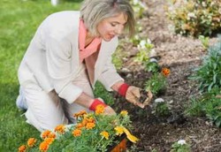 Orang Tua Jangan Dilarang-larang Beraktivitas