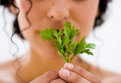 Perangi Bau Mulut dengan Makanan Ini