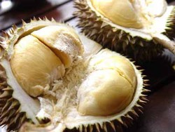 Makan Durian Sepuasnya, Rp. 75.000,00!