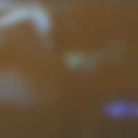 Terinspirasi Video Artis, Sepasang Kekasih Abadikan Adegan Syur