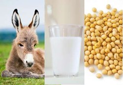 Keunggulan Susu Keledai Dibanding Susu Kedelai
