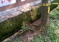 Lokasi Penemuan Mayat Dalam Karung