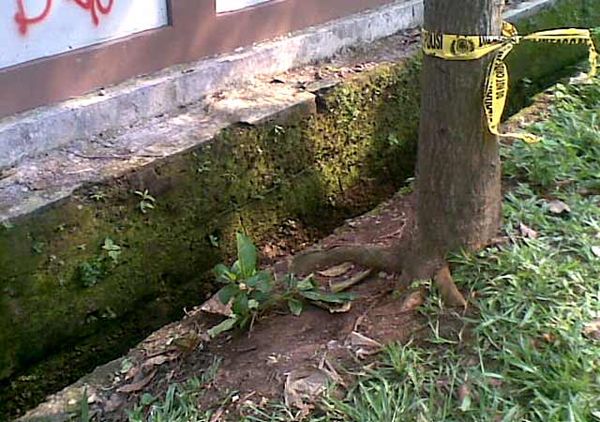Lokasi Penemuan Mayat Dalam Karung
