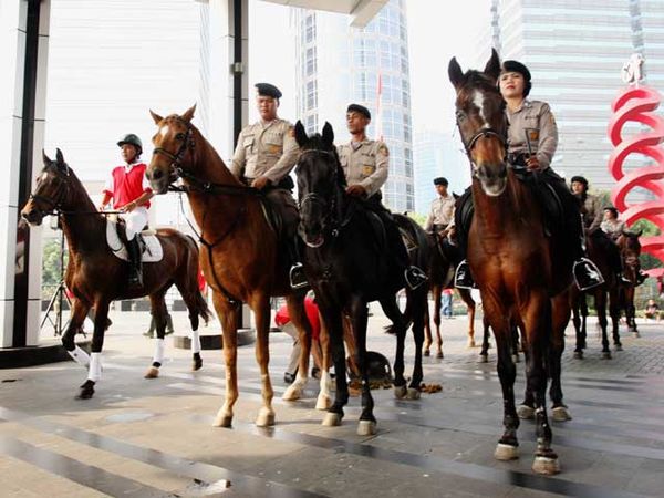 Atlet Nasional Ikuti Pazia Equestrian