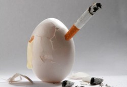 Banyak Keluarga Miskin Pilih Beli Rokok Daripada Telur