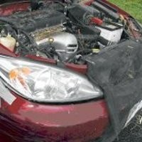 Hii, 6 Ekor Tikus Bersarang di Mesin Mobil!