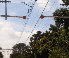 Cegah Penumpang di Atap KRL, PT KAI Siapkan Anjing Pelacak