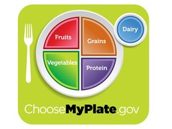 My Plate, Ikon Baru Nutrisi Amerika