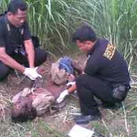 Seorang Kakek Ditemukan Tewas di Kebun, Diduga Korban Kelaparan