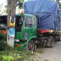 Gara-gara Mengantuk, Truk Trailer Tabrak Pohon Hingga Roboh