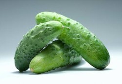 Pendatang dari Eropa Harus Dipastikan Bebas Infeksi E.Coli