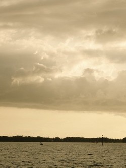 Paradise Within Reach