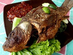 Maksi Rp 20 Ribu Dijamin Kenyang