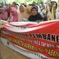 300 Petani Sumbar Minta Pemprov Selesaikan Konflik dengan Perkebunan