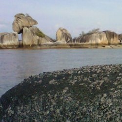 Menapaki Jejak-jejak Laskar Pelangi
