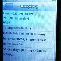 Sindikat 177 WNA Diduga Otaki Mama Minta Pulsa