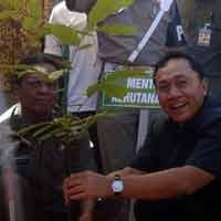 Tekan Ilegal Logging, Pemerintah Gencar Kampanye Hingga Luar Negeri