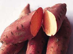 Ubi dan Pala Untuk Seks Dahsyat